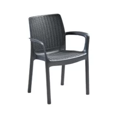Chaise de jardin à bras en plastique noir