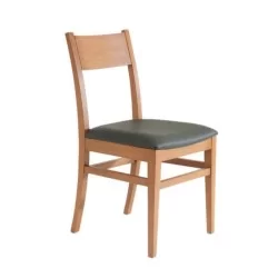 Pear Painted Black Leather Upholstered Rustic Chair