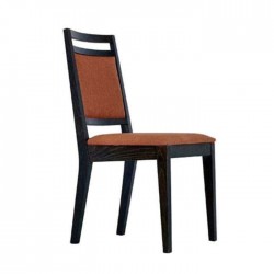 Black Opaque Painted Rustic Chair