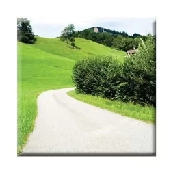 Werzalit Tischplatte Mit Blicknatur