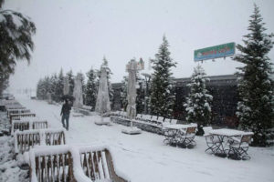 Marina Cafe Dış Mekan Sandalye Masa