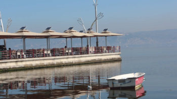 Kocaeli Naila Cafe Dekorasyon Beyaz Rattan Sandalye