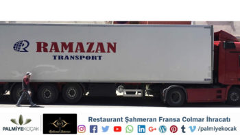 Sahmeran Restoran Colmar Fransa İhracati Yukleme Tir